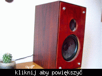 ZGZ 10/8-S2 wymiana głośników