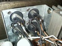 Renowacja i regeneracja altusów 75 od podstaw