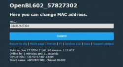 Network interface of OpenBL602 with MAC address change option.