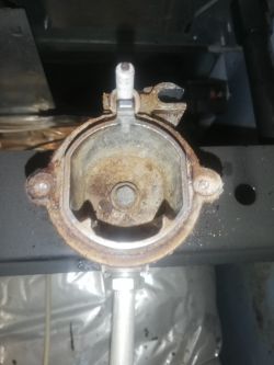 Amica G5E3.43ZpTeN - czy to jest taki model bo poszukuję nr. modelu