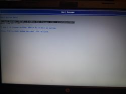 Booting Windows 10 from Pendrive on HP 250 g3 Laptop: Blue Screen Issue