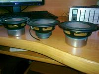 Genius 6000 2.1 zamiast 5.1