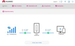 Zrzut ekranu z ustawieniami sieci Huawei.