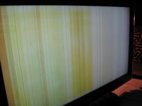 Samsung LE40A656A1F TV - stripes on the screen (sometimes it works properly) Samsung LE40A656A1F TV - stripes on the screen (sometimes it works properly)