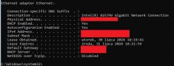 Fragment ekranu pokazujący ustawienia adaptera Ethernet w systemie Windows