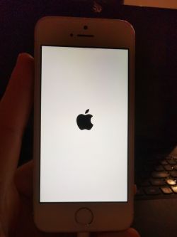 IPhone SE zawiesza się na logo Apple po aktualizacji do iOS 13