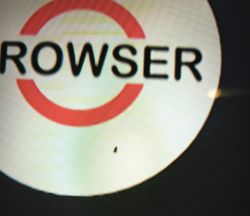 Mały owad na ekranie komputera z widocznym napisem BROWSER