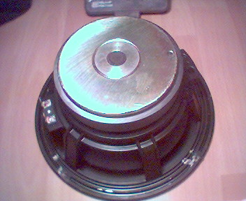 Co to za model Tonsila (20cm).