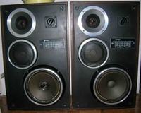 Wymiana,naprawa głosniczków.Jakie?