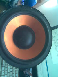 naprawa głośnika LTC (spalona cewka )