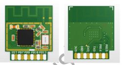 Views of the TW-02 Module Board Two views of the TW-02 module's circuit board.