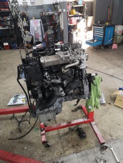 Sprinter 316. Brak wtyczki - Brak wtyczki do czujnika walu.