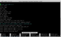 OpenVPN konfiguracja dla dostępu użytkowników z różnych podsieci.