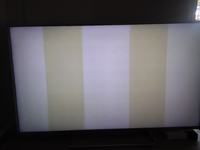 Panasonic TX-55CS630 - widoczna kratownica na jasnym tle po wymianie matrycy