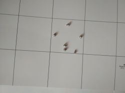 Minitest: Serwisowa mata magnetyczna