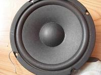 Cóż to za głośnik? YD165-6R70B