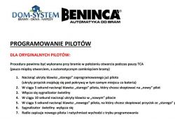 Beninca to.go-va Remote Control: How to Copy Settings without Hidden Button (Gate Drive)