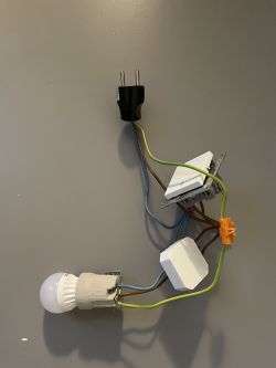 Connection of the QS-Zigbee-D02-TRIAC-2C-LN switch to the ceiling lamp and the Home Assistant Connection of the QS-Zigbee-D02-TRIAC-2C-LN switch to the ceiling lamp and the Home Assistant