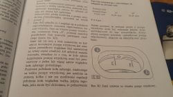 Wózek widłowy 1976 rok - Witam .Przestawiłem rozrząd w silniku przy wyjętej pomp