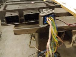 Szukam schematu do wtyczki ECU 1.5 ddis Suzuki - zdjęcia w załączniku