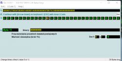 Zrzut ekranu programu do kodowania sterowników w samochodzie, pokazujący ciąg wartości binarnych.