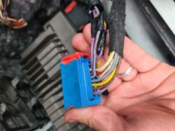 Close-up of a blue electrical connector with multiple colored wires in a person's hand.