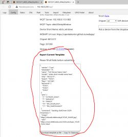 Screenshot of a web application displaying the current configuration template.