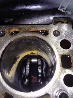 Vectra b 1.6 16v problem ECU sterownik Vectra b 1.6 16v problem ECU sterownik