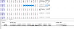 Screenshot showing a section of hex memory analysis with a selected address.