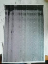 Samsung CLP365W - Białe paski po dosypaniu proszku.