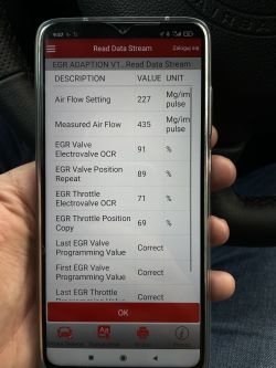 Citroen Berlingo 1.6hdi 75km 2008r - Błąd p0401, przepływomierz Hella, EGR, odczyt 420mg