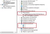 Seagate Expansion Desktop Drive - Niewykrywany przez system Windows 10