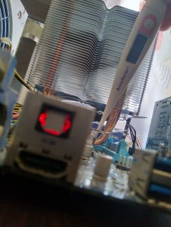 Jaki cooler wybrać do Athlon II x4 740? Box OEM czy Spartan 3 LT?