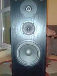 Magnat Art 145 080 - Poszukuję głośnika niskotonowego