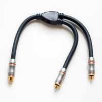 blaupunkt + magnat - podłączenie po przez gniazdo C1