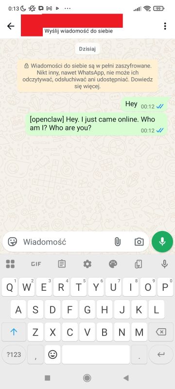 OpenClaw in practice - first impressions, installation report on Windows, tutorial