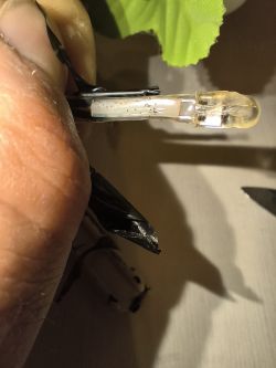 Zbliżenie na przezroczystą diodę LED trzymaną w dłoni, z czarną taśmą wokół przewodów.