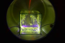 Akwarium pełne elektronów, czyli siarczek cynku, wysokie napięcie i próżnia. Akwarium pełne elektronów, czyli siarczek cynku, wysokie napięcie i próżnia.