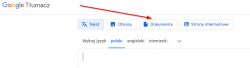 Zrzut ekranu Google Tłumacza z zaznaczoną opcją 
