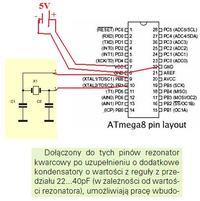 atmega/8 - Jak po wyjęciu Atmegi z programatora mogę użyć "jej" w najp