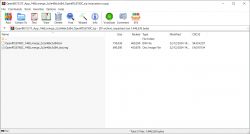 Screenshot showing a ZIP archive management program window with two extracted file paths.