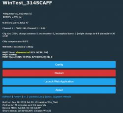 User interface with diagnostic information for the WinTest_3145CAFF device.