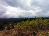 Telefon do 500 zł z WLAN, dużym ekranem i dobrym aparatem - lepszy niż Nokia N8?