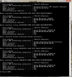 No internet access despite being connected to the network ...