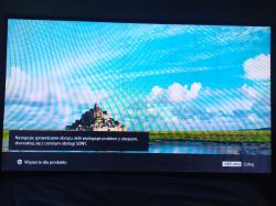Ekran telewizora z widocznymi pionowymi i ukośnymi pasami oraz komunikatem serwisowym
