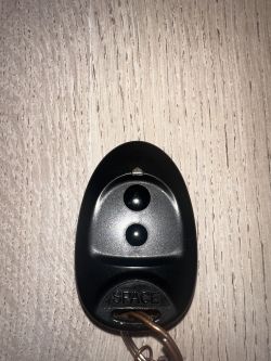 Pilot do wrót garażowych marki Came z dwoma przyciskami na drewnianym tle.