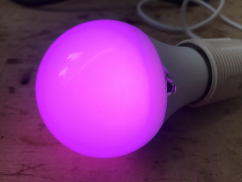 LED Bulb Emitting Purple Light LED bulb emitting purple light