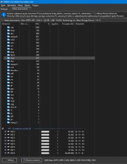 Zrzut ekranu oprogramowania DMDE pokazujący wyniki pełnego skanowania dysku USB z systemem plików Raw-NTFS-FAT.