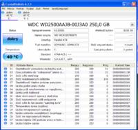 Błąd aplikacji Steam, Origin, LibreOffice na Windows XP - wirus niewykrywalny?