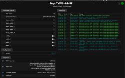 Tuya TYWB-4ch RF interface with debug logs and binary switch controls